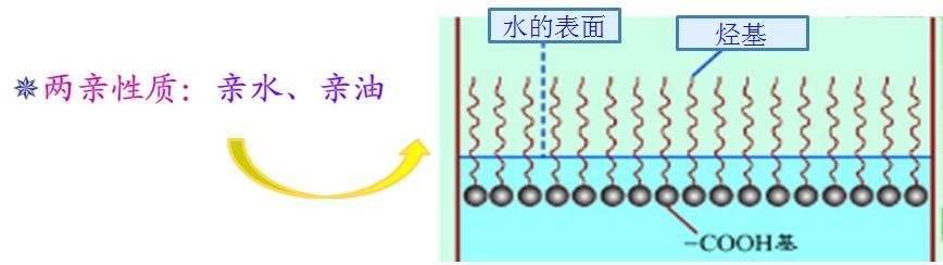 <a href='https://www.www.abnbn.com.cn/product/product-0001,0011,0018.shtml' class='keys' title='點擊查看關于潤濕劑的相關信息' target='_blank'>潤濕劑</a>