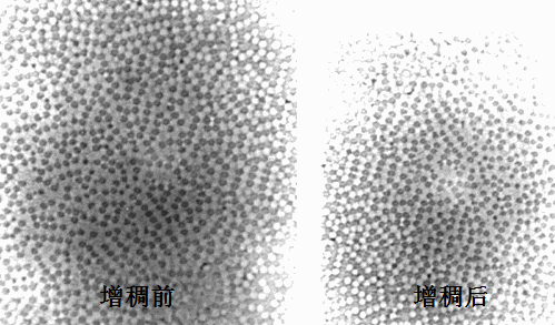 分散劑 增稠劑